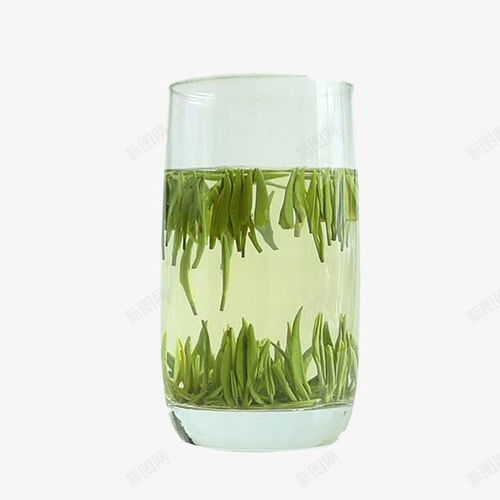 竹葉青茶 鮮活草本滋補，至美容顏的綠茶之選