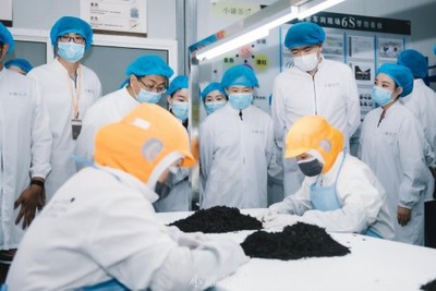 傳承技藝，創新工業 混沌大學創新商學院黃山尋味現代派小罐茶