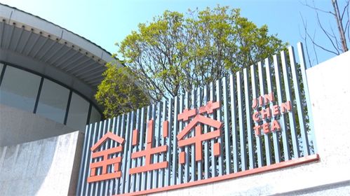 安順經(jīng)開區(qū) 打造新中式茶飲新風(fēng)尚，賦能茶葉產(chǎn)業(yè)升級